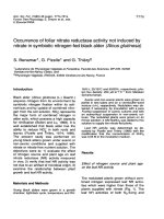 Báo cáo lâm nghiệp: 