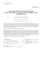 Báo cáo khoa học: 