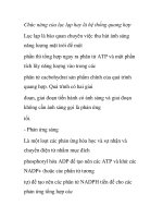 Chức năng của lục lạp hay là hệ thống quang hợp pdf