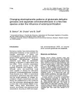 Báo cáo lâm nghiệp: 