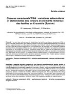 Báo cáo lâm nghiệp: 