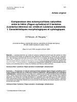 Báo cáo khoa học: 