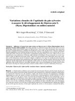 Báo cáo lâm nghiệp: 