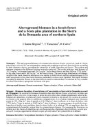 Báo cáo khoa học: 