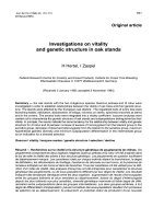 Báo cáo lâm nghiệp: 