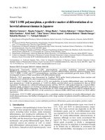 Báo cáo toán học: 