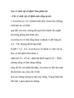 Các vi sinh vật cố định Nitơ phân tử pps