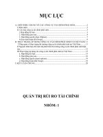 Quản trị rủi ro tài chính tài chính pot