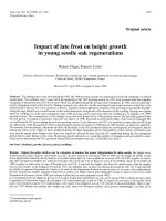 Báo cáo toán học: 