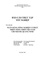 Bản đầy đủ BCTT pps