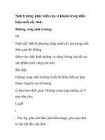 Sinh trưởng, phát triển của vi khuẩn trong điều kiện nuối cấy tĩnh pot