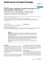 Báo cáo khoa học: 