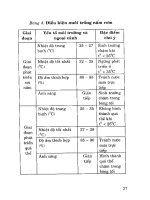 Tổ chức sản xuất một số loại nấm ăn ở trang trại và gia đình part 6 pdf