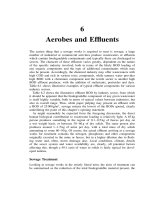 Environmental Biotechnology - Chapter 6 docx