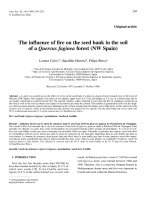 Báo cáo khoa học: 