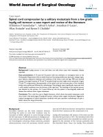 Báo cáo khoa học: 