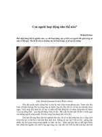 Con người hoạt động như thế nào ? ppsx