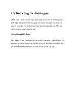 Cá tính cùng tóc đuôi ngựa pptx