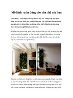 Mô hình vườn đứng cho căn nhà của bạn pps