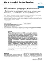 Báo cáo khoa học: 