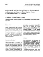 Báo cáo lâm nghiệp: 