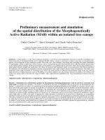 Báo cáo toán học: 