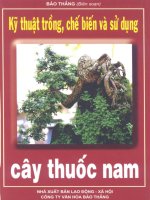 Kỹ thuật trồng, chế biến và sử dụng cây thuốc nam part 1 ppt