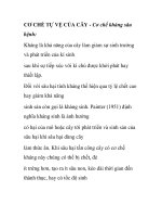 CƠ CHẾ TỰ VỆ CỦA CÂY - Cơ chế kháng sâu bệnh pps