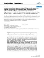 Báo cáo khoa học: 