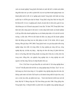 Xây dựng CNXH đặc sắc ở Trung Quốc và bài học thực tiễn trong phát triển - 2 potx