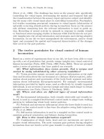 Adaptive Motion of Animals and Machines - Hiroshi Kimura et al (Eds) part 15 pdf