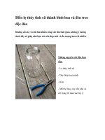 Biến lọ thủy tinh cũ thành bình hoa và đèn treo độc đáo pptx