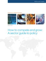 How to compete and grow a sector guide to policy phần 1 doc