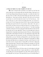 thực tiễn chống bán phá giá trong thương mại quốc tế và những vấn đề đặt ra đối với việt nam