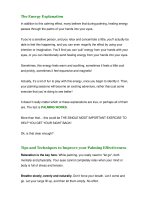 30 DAYS TO BETTER SIGHT A LIFETIME OF CRYSTAL CLEAR VISION - PART 5 pdf