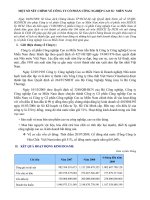 MỘT SỐ NÉT CHÍNH VỀ CÔNG TY CỔ PHẦN CÔNG NGHIỆP CAO SU MIỀN NAM docx