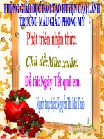 Giáo trình điện tử mầm non: Ngày tết quê em potx