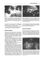 General ultrasound In the critically ill - part 3 pptx