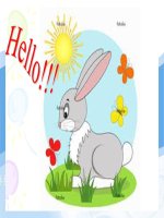 Tranh cãi giữa Mỹ va Trung Quốc về việc Trung Quốc định giá thấp đồng nhân dân tệ ppsx