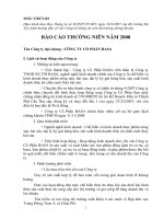 CÔNG TY CỔ PHẦN BASA - BÁO CÁO THƯỜNG NIÊN NĂM 2008 pdf