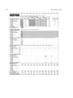 Business planning and financial modeling for microfinance insti phần 9 pptx