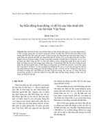 Báo cáo nghiên cứu khoa học 