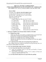 Tóm tắt báo cáo nghiên cứu khoa học 