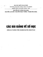 các bài giảng về số học bồi dưỡng học sinh giỏi