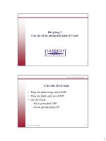 Kinh tế vĩ mô - Các chỉ số đo lường nền kinh tế vĩ mô - Chỉ số cơ bản pptx