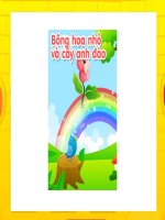 Kể chuyện theo tranh: Bông hoa nhỏ và cây anh đào pot