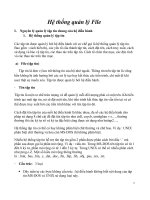 Hệ thống quản lý File (nhóm I) word2003 pptx