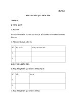 Mẫu BÁO CÁO KẾT QUẢ KIỂM TRA pps