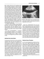 General ultrasound In the critically ill - part 5 ppsx