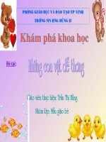 Giáo trình điện tử mầm non: Con vật dễ thương potx